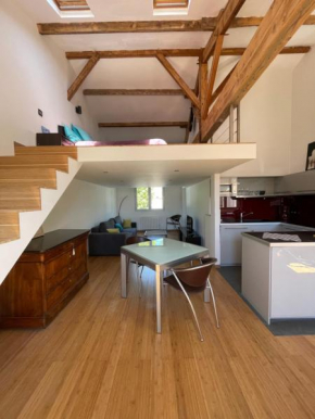 Loft in Chatel